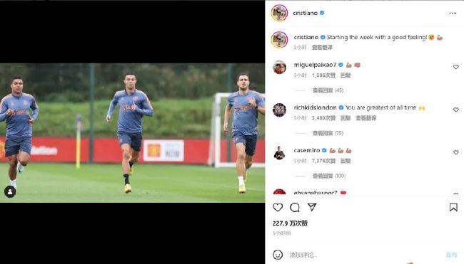 怡红院免费全部视频在线视频