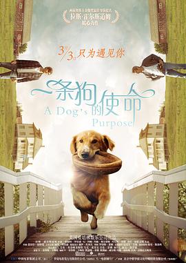 日韩美香港a一级毛片