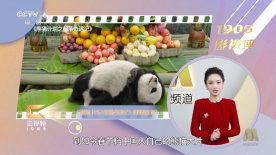 欧美精品一区二区三区在线播放